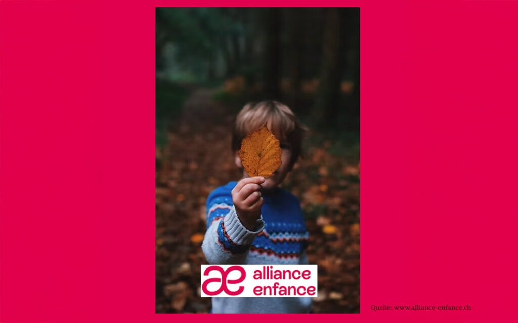 thum alliance enfence