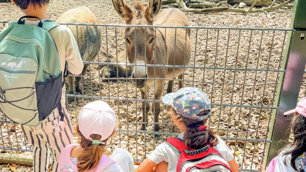 flyer feriencamps 2026 kids und esel 4