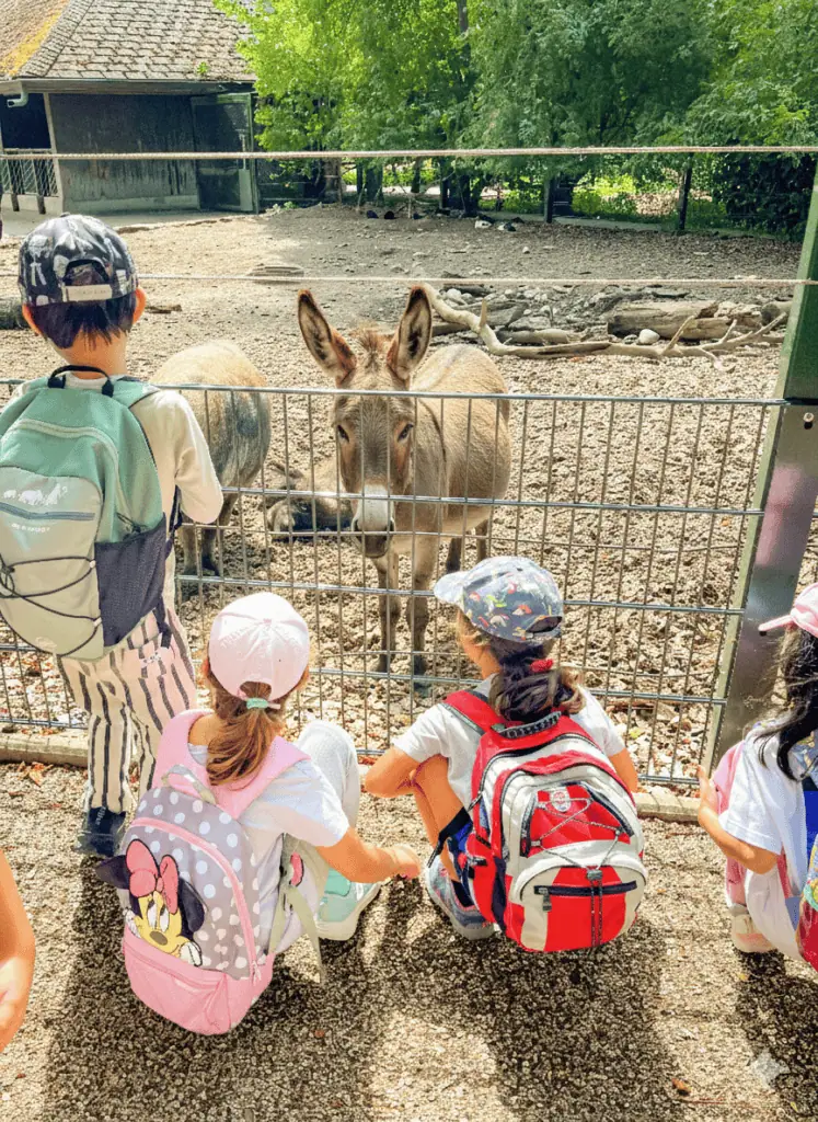 flyer feriencamps 2026 kids und esel